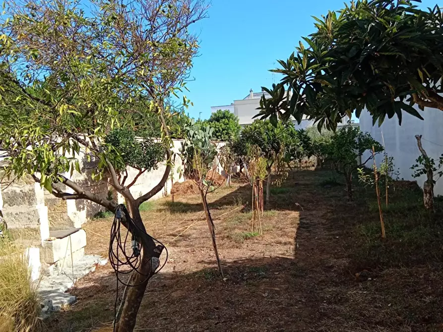 Immagine 5 di Terreno residenziale in vendita  a Cavallino