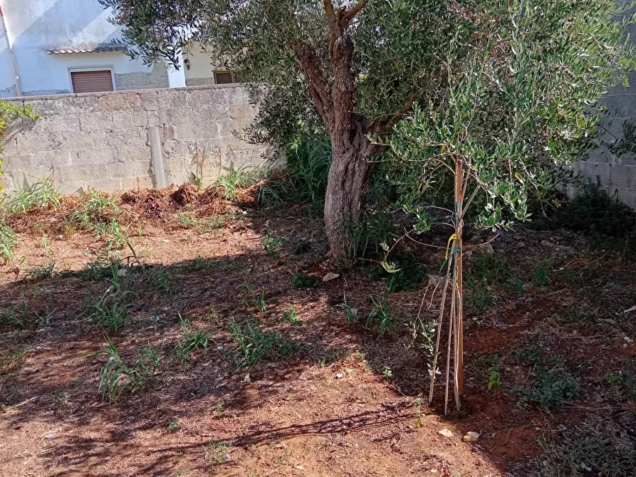 Immagine 1 di Terreno residenziale in vendita  a Cavallino