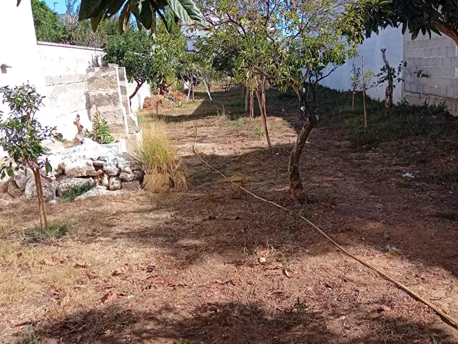 Immagine 2 di Terreno residenziale in vendita  a Cavallino