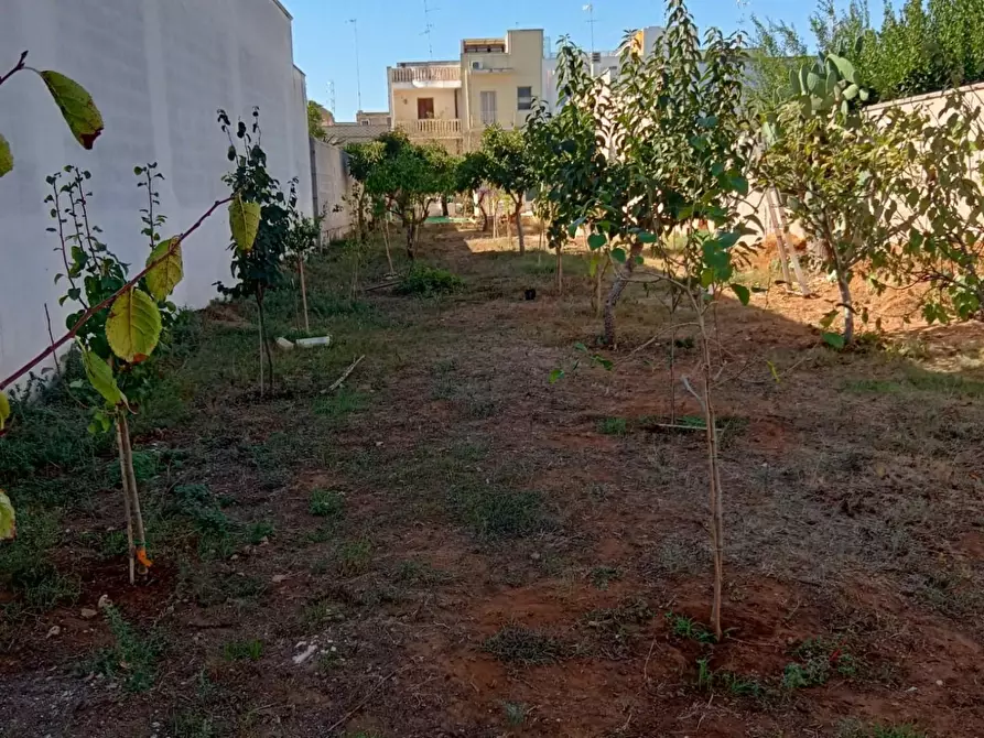 Immagine 3 di Terreno residenziale in vendita  a Cavallino
