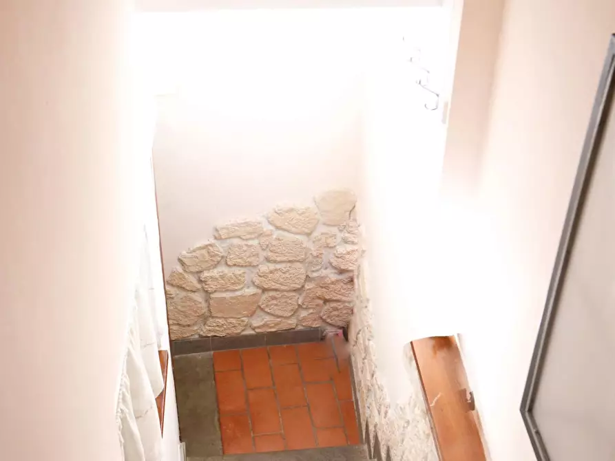 Immagine 20 di Appartamento in vendita  a Fauglia