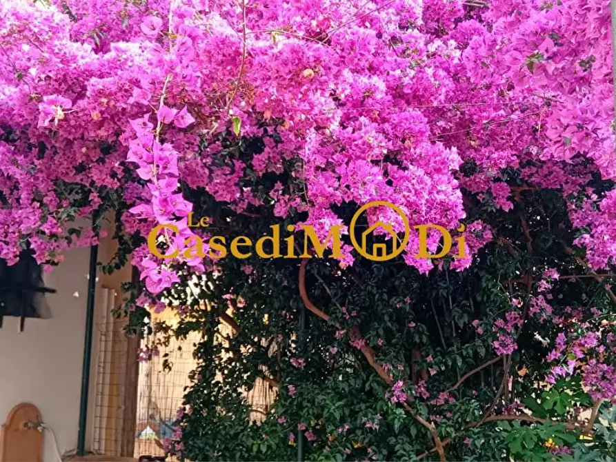 Immagine 2 di Locale commerciale in vendita  a Livorno