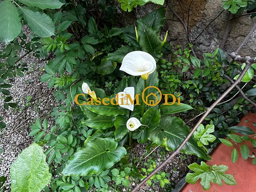 Immagine 8 di Locale commerciale in vendita  a Livorno