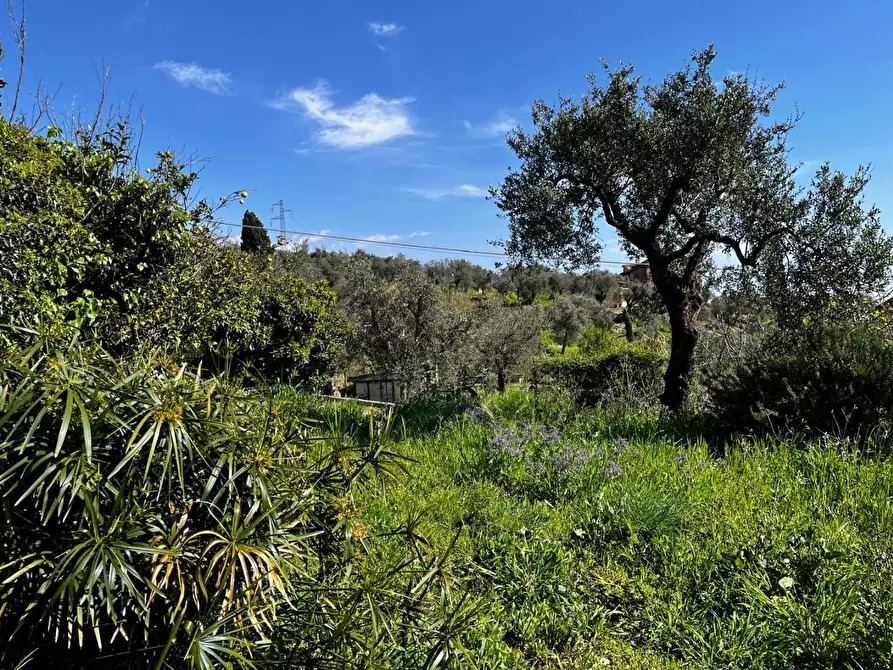Immagine 1 di Casa semindipendente in vendita  a Castelnuovo Magra