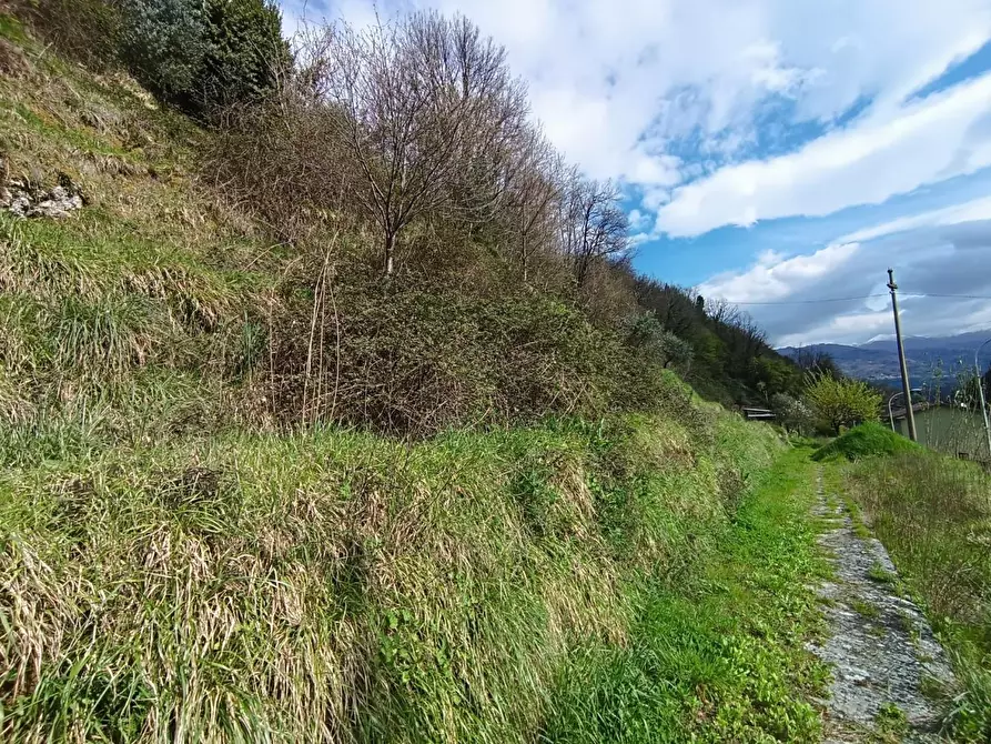 Immagine 7 di Casa semindipendente in vendita  a Gallicano