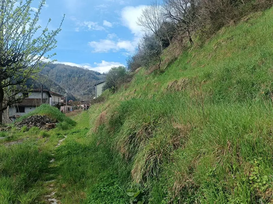 Immagine 8 di Casa semindipendente in vendita  a Gallicano