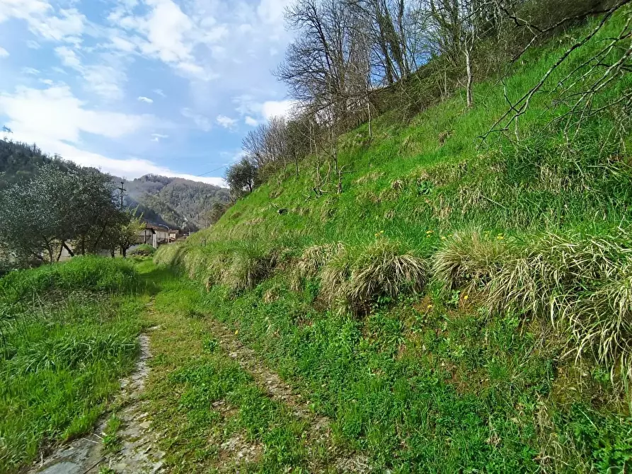 Immagine 9 di Casa semindipendente in vendita  a Gallicano