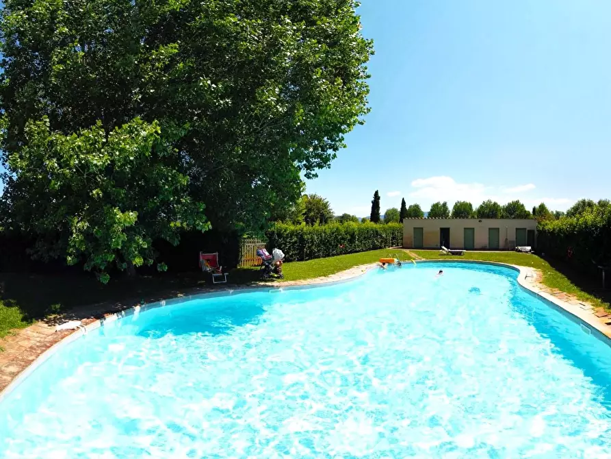 Immagine 46 di Terratetto in vendita  a San Giuliano Terme