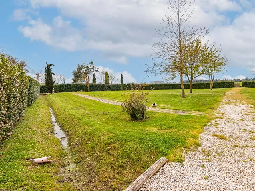 Immagine 57 di Terratetto in vendita  a San Giuliano Terme