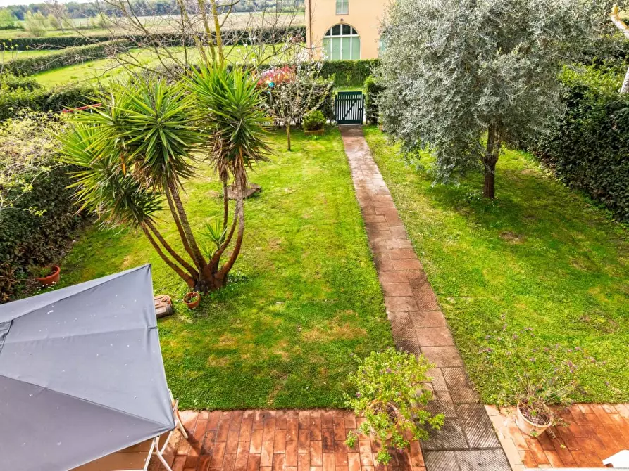 Immagine 43 di Terratetto in vendita  a San Giuliano Terme