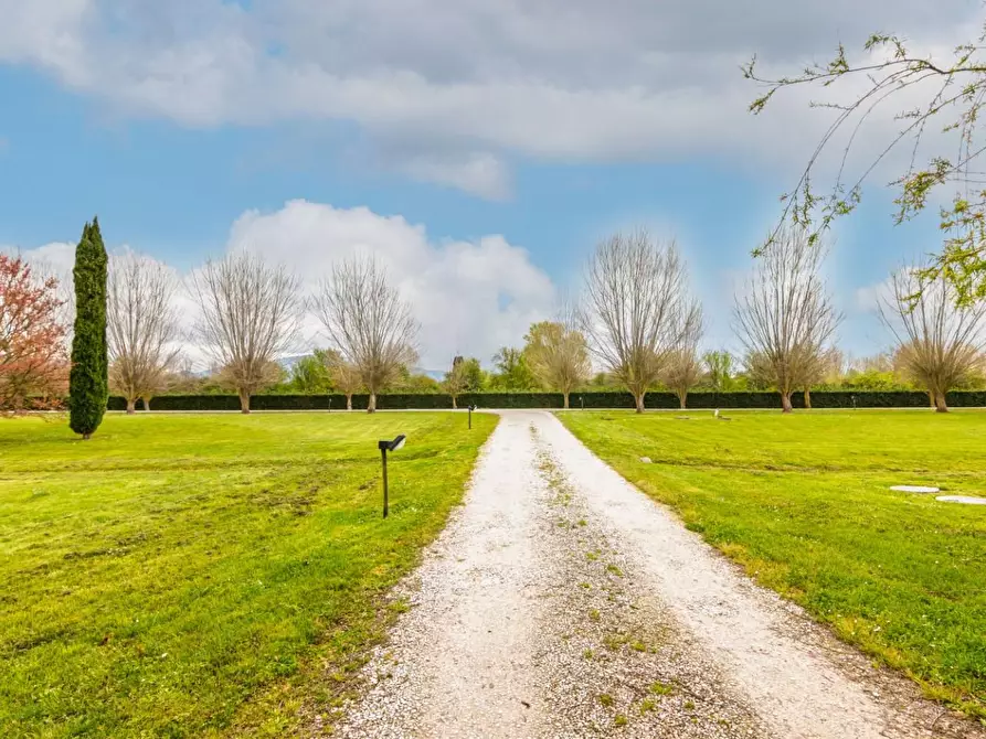 Immagine 56 di Terratetto in vendita  a San Giuliano Terme