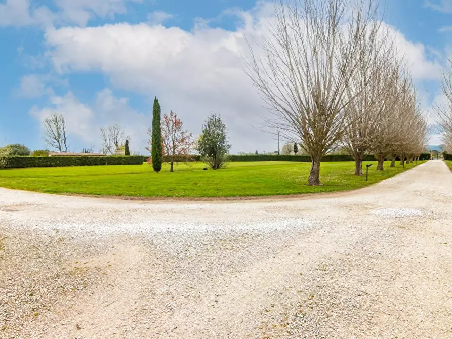 Immagine 52 di Terratetto in vendita  a San Giuliano Terme