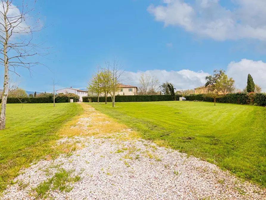 Immagine 61 di Terratetto in vendita  a San Giuliano Terme