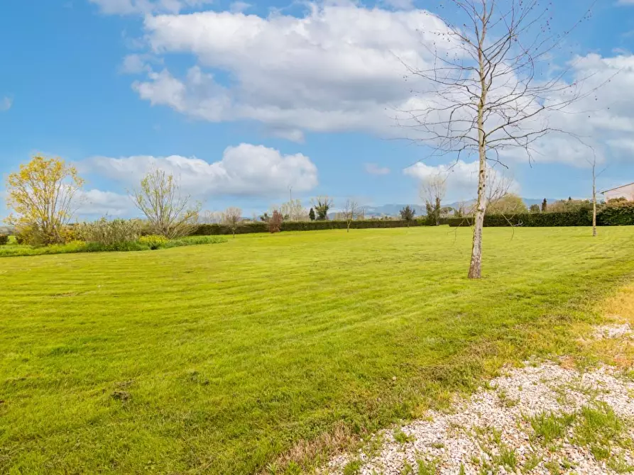 Immagine 60 di Terratetto in vendita  a San Giuliano Terme
