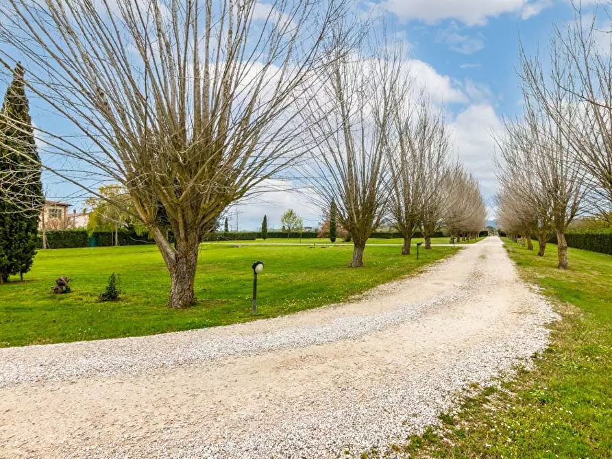 Immagine 50 di Terratetto in vendita  a San Giuliano Terme