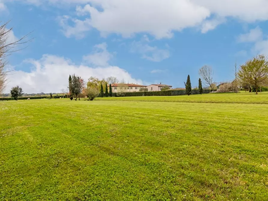 Immagine 55 di Terratetto in vendita  a San Giuliano Terme