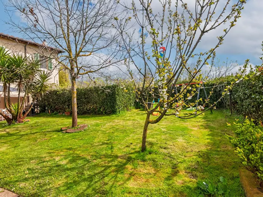 Immagine 44 di Terratetto in vendita  a San Giuliano Terme