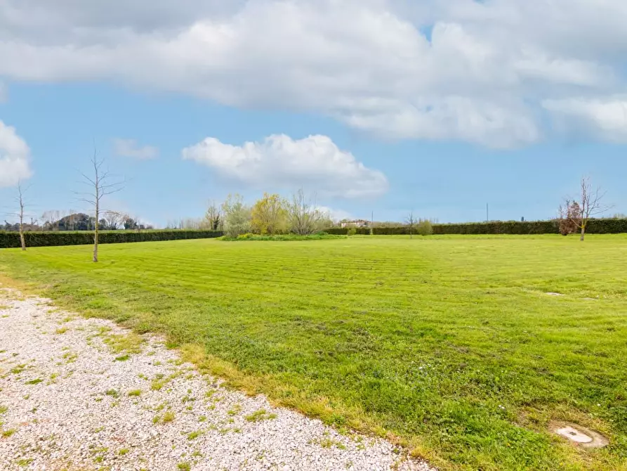 Immagine 59 di Terratetto in vendita  a San Giuliano Terme