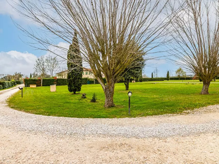 Immagine 51 di Terratetto in vendita  a San Giuliano Terme