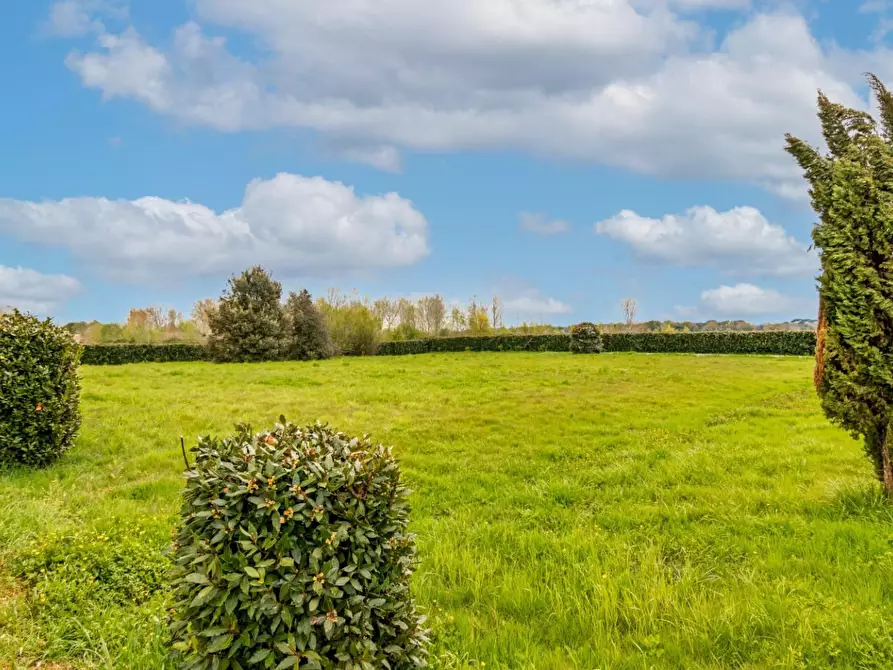 Immagine 49 di Terratetto in vendita  a San Giuliano Terme