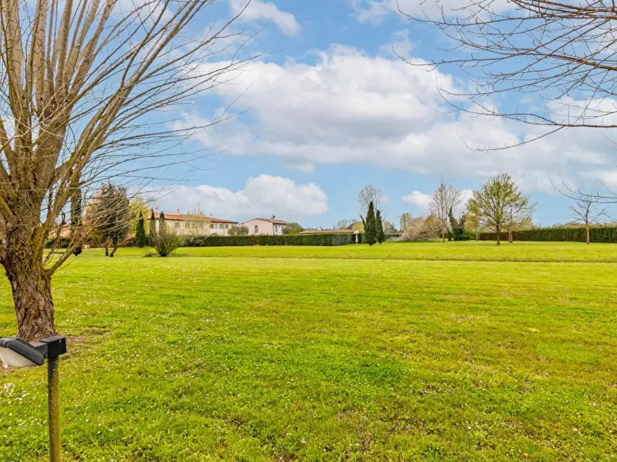 Immagine 54 di Terratetto in vendita  a San Giuliano Terme