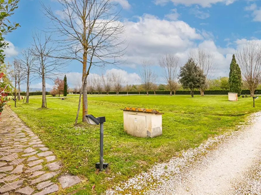 Immagine 48 di Terratetto in vendita  a San Giuliano Terme