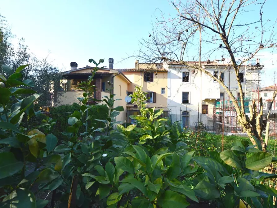 Immagine 19 di Terratetto in vendita  a Capannori