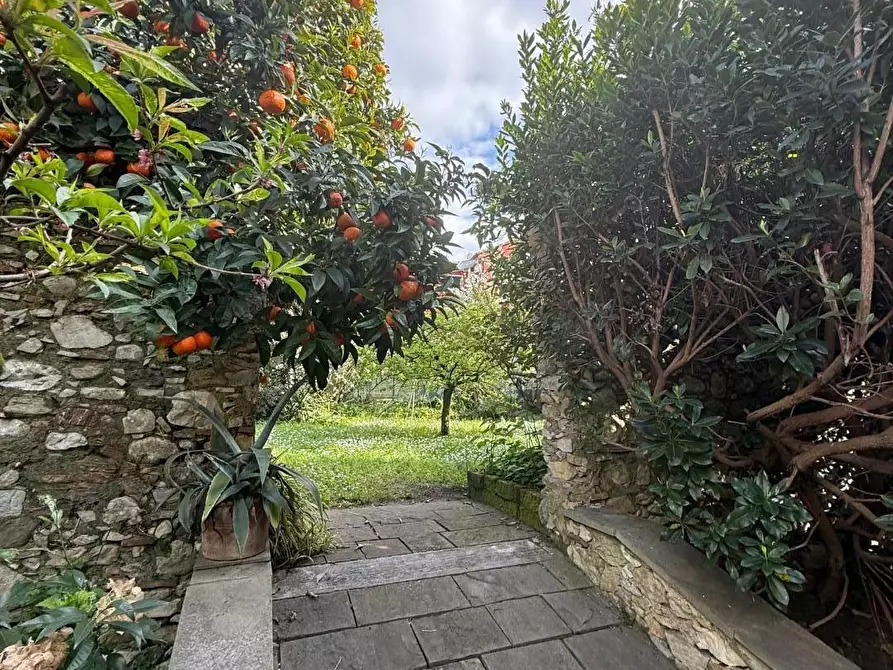 Immagine 12 di Villa in vendita  a Carrara