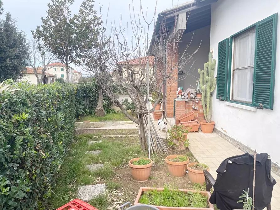 Immagine 3 di Casa bifamiliare in vendita  a Rosignano Marittimo