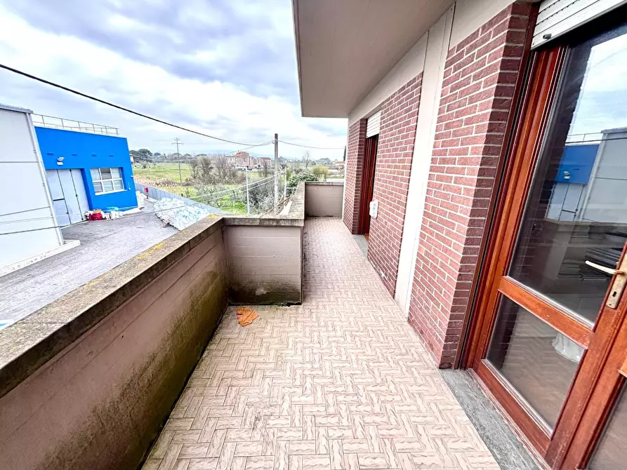 Immagine 18 di Attività artigianale in vendita  a San Miniato