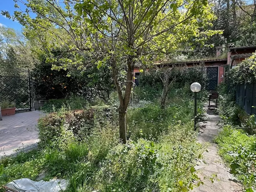 Immagine 11 di Casa quadrifamiliare in vendita  a Fiumicino