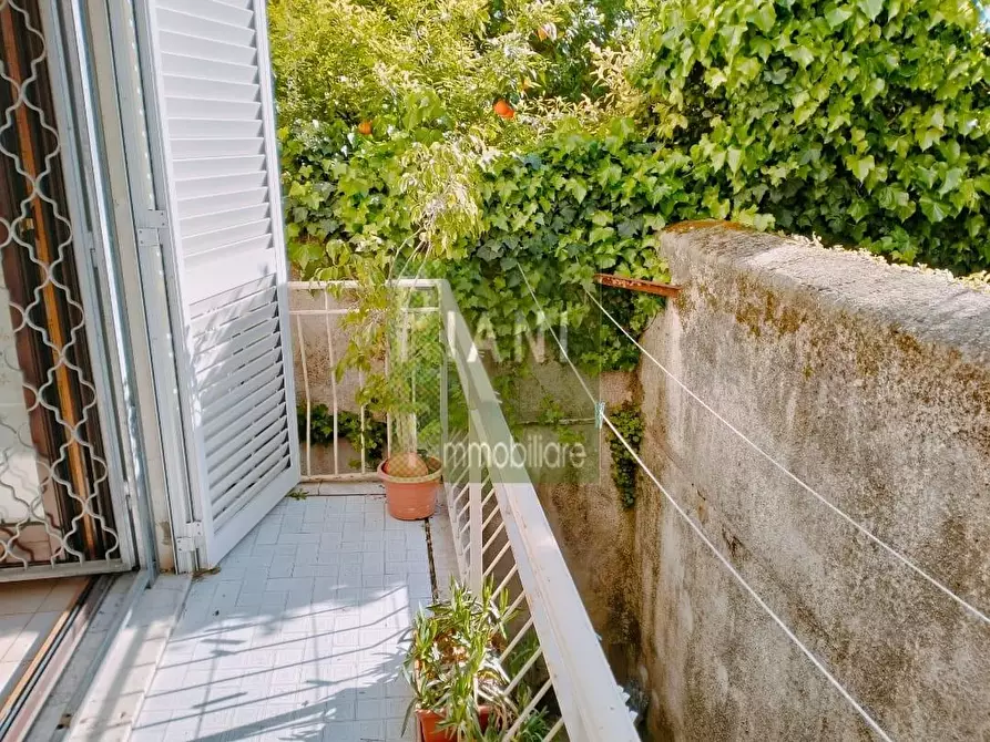 Immagine 7 di Appartamento in vendita  a Livorno