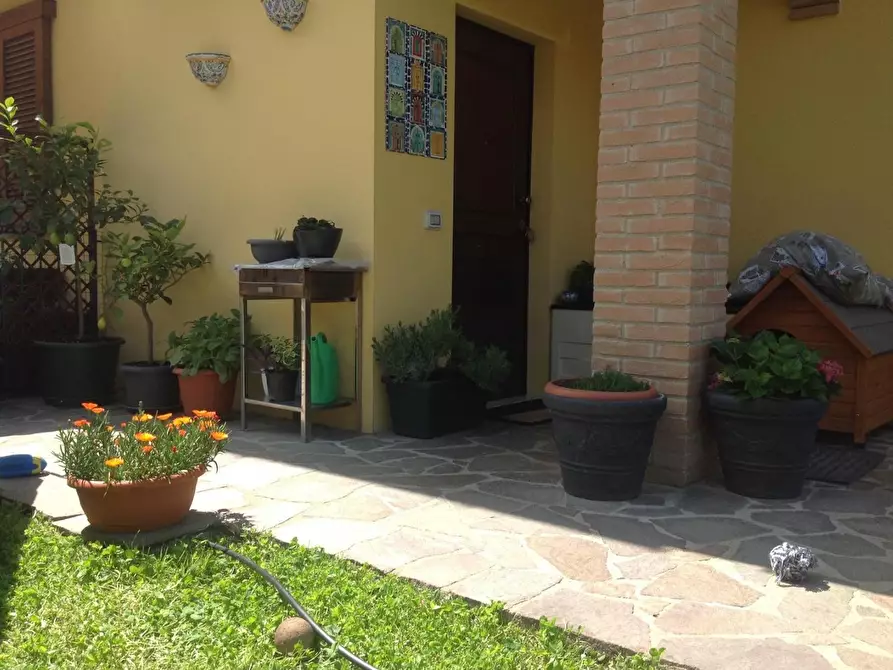 Immagine 8 di Appartamento in vendita  a Murlo