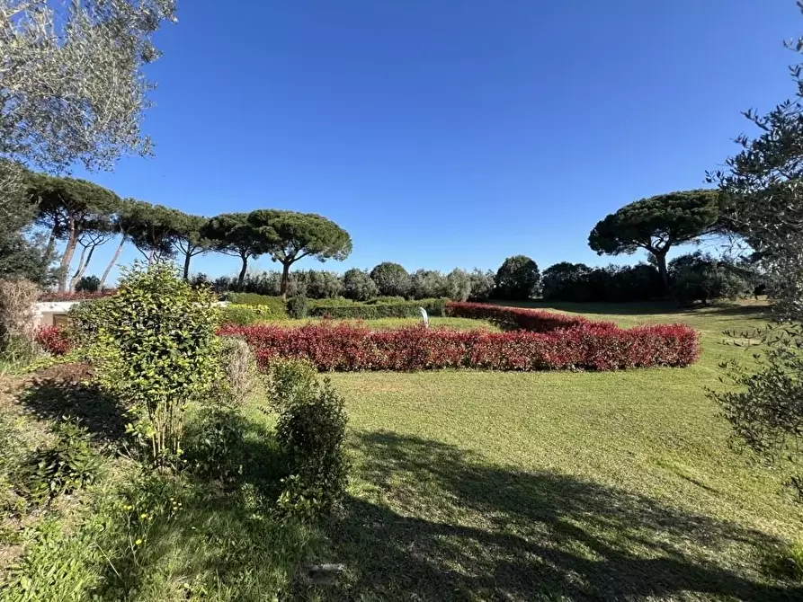 Immagine 63 di Villetta a schiera in vendita  a Cecina