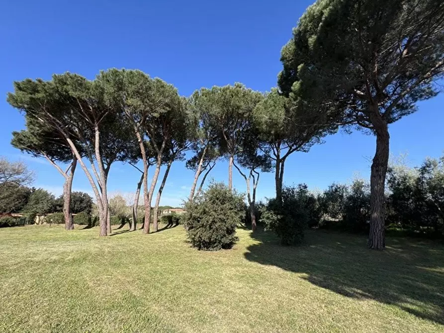 Immagine 114 di Villetta a schiera in vendita  a Cecina