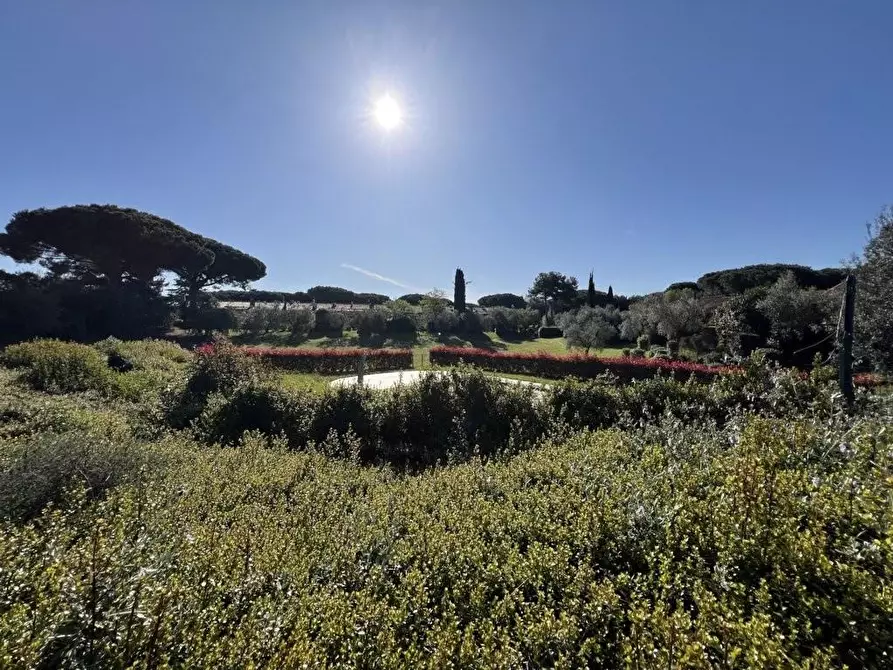 Immagine 113 di Villetta a schiera in vendita  a Cecina