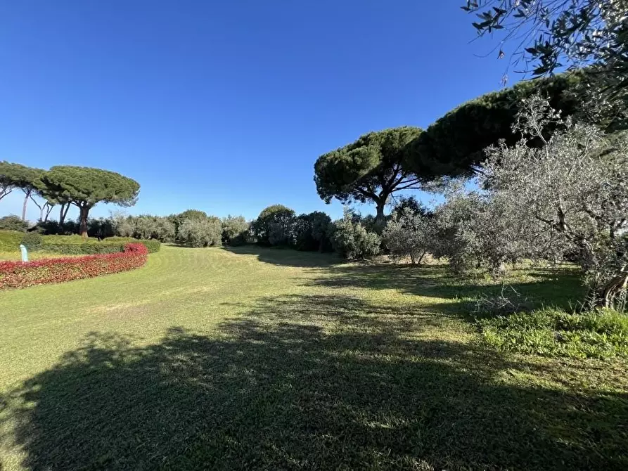 Immagine 69 di Villetta a schiera in vendita  a Cecina