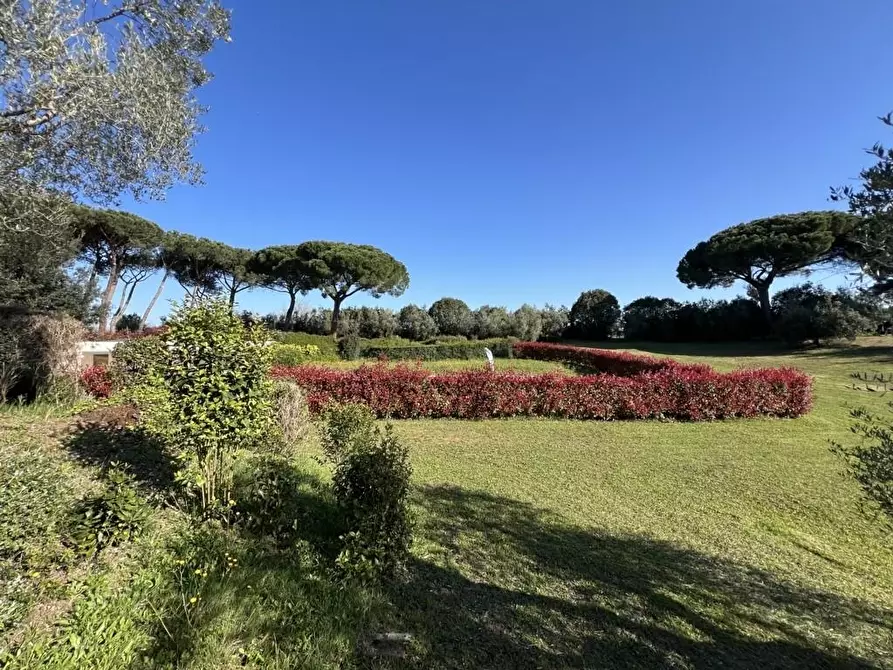 Immagine 65 di Villetta a schiera in vendita  a Cecina