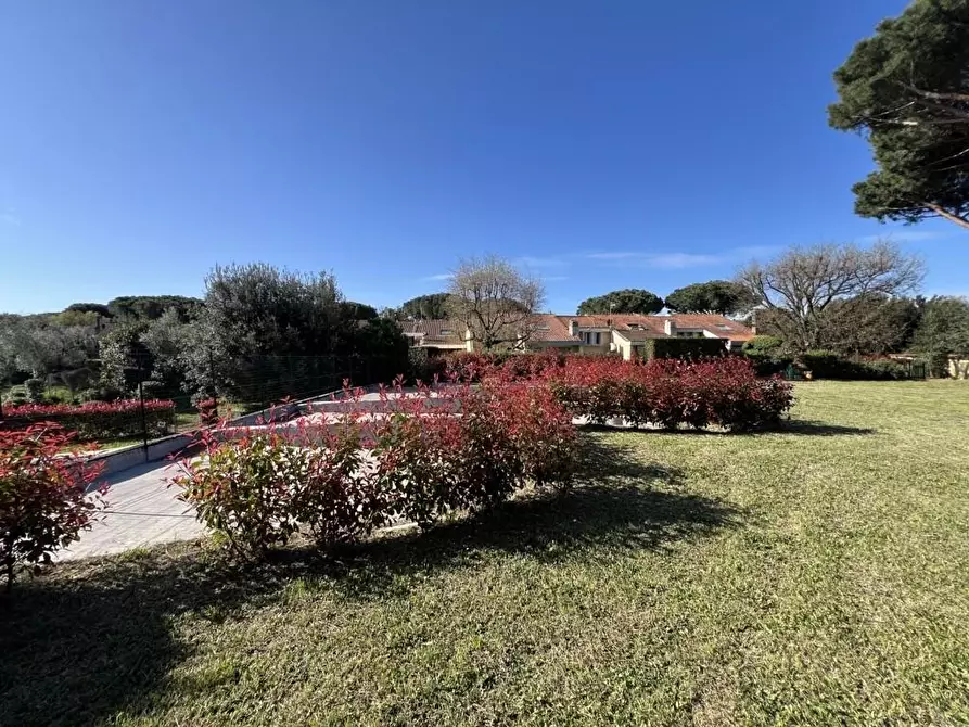 Immagine 77 di Villetta a schiera in vendita  a Cecina