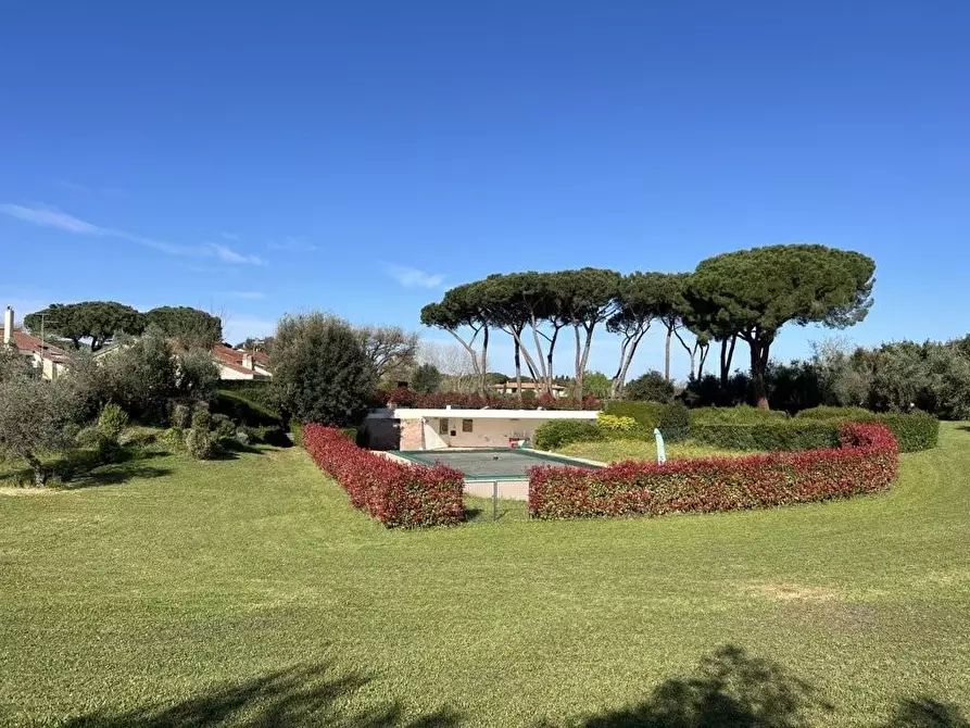 Immagine 110 di Villetta a schiera in vendita  a Cecina