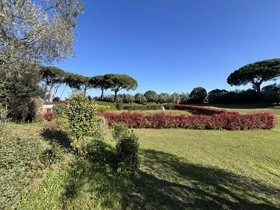 Immagine 64 di Villetta a schiera in vendita  a Cecina