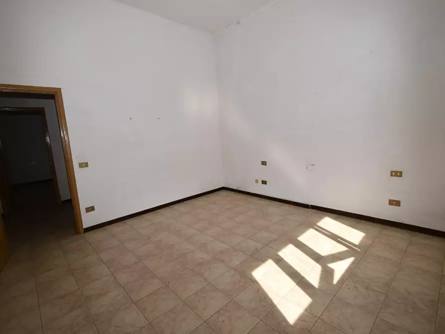 Immagine 12 di Villa in vendita  a Vecchiano