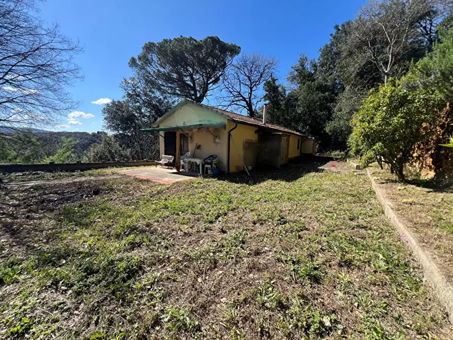 Immagine 10 di Casa indipendente in vendita  a Bibbona