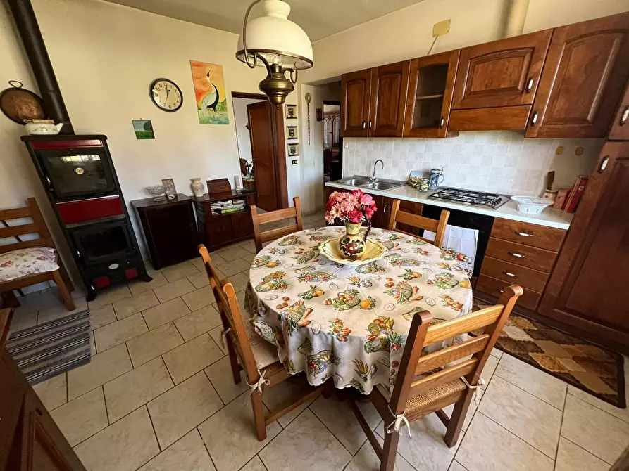 Immagine 13 di Casa indipendente in vendita  a Bibbona