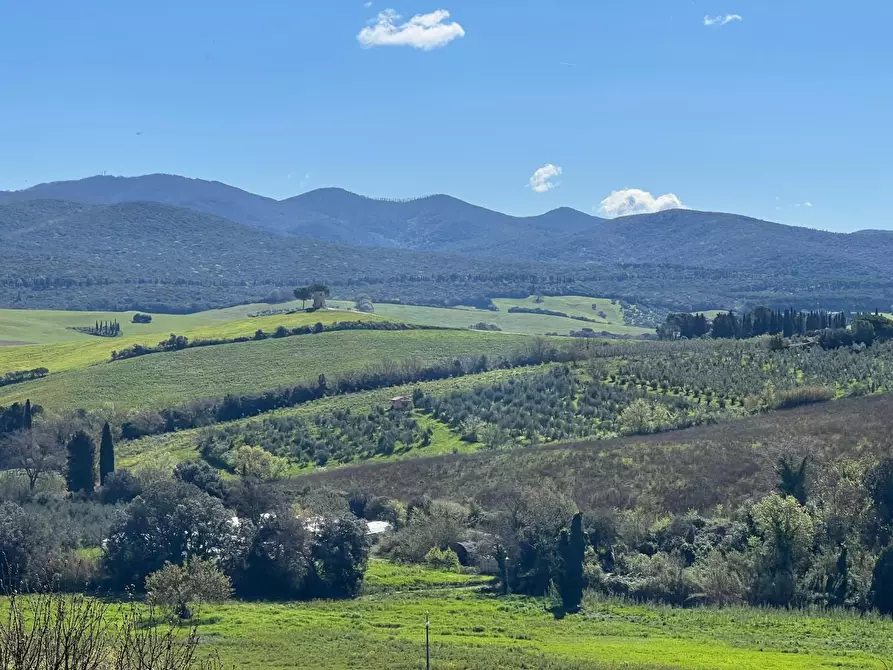 Immagine 32 di Casa indipendente in vendita  a Bibbona