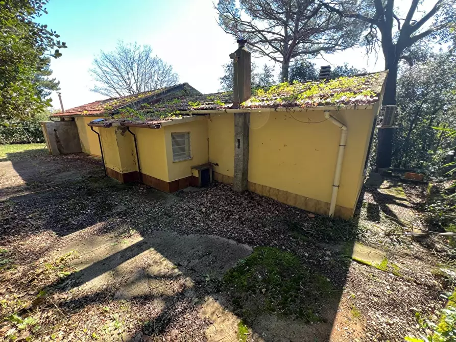 Immagine 11 di Casa indipendente in vendita  a Bibbona