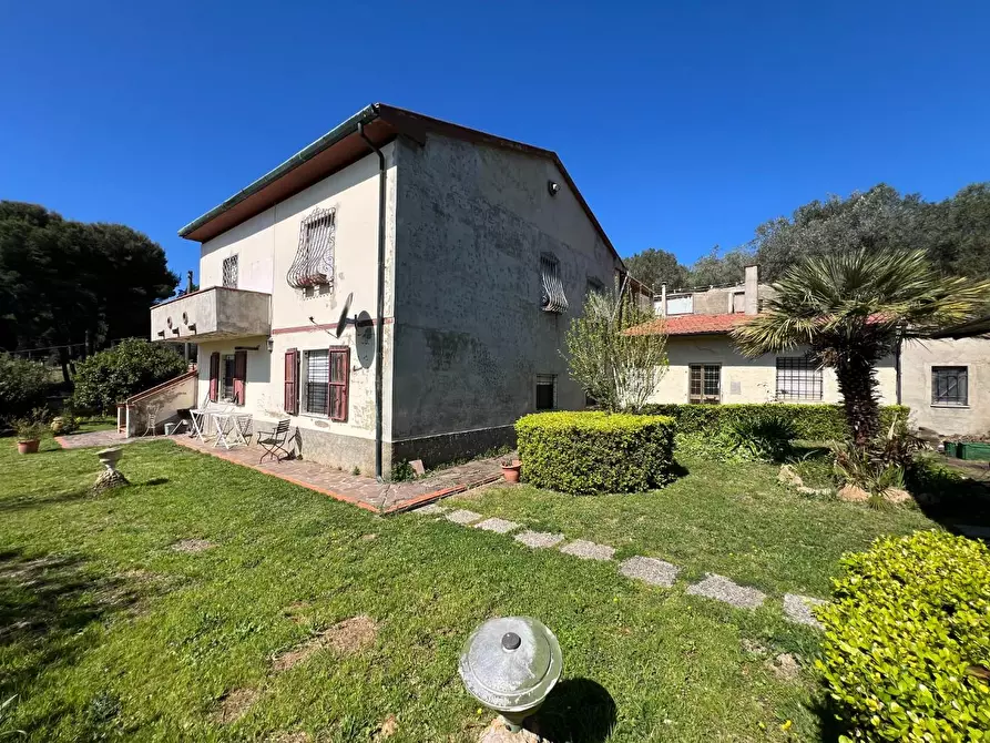 Immagine 3 di Casa indipendente in vendita  a Bibbona