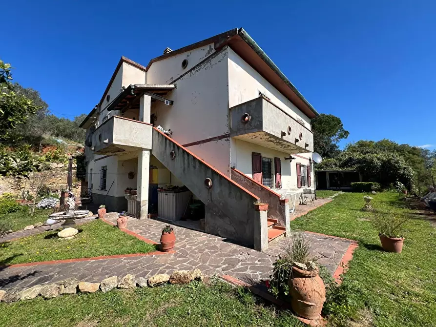 Immagine 7 di Casa indipendente in vendita  a Bibbona