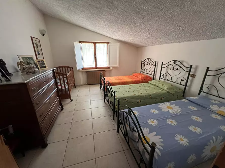 Immagine 17 di Casa indipendente in vendita  a Bibbona