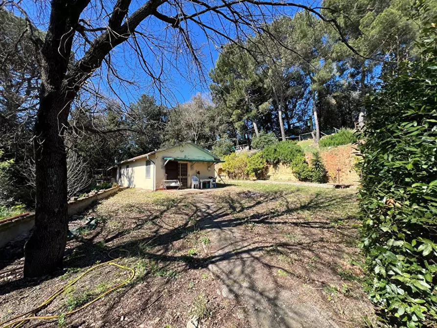 Immagine 6 di Casa indipendente in vendita  a Bibbona